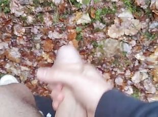 Teenboy peeing in the Woods and stroking his huge Cock