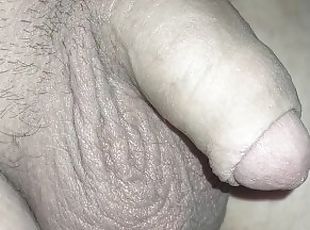 Close up cock