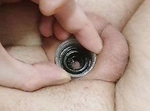 Super glues the micropenis and plugs into the hole