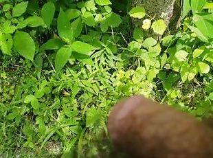 pissing in the great outdoors pov
